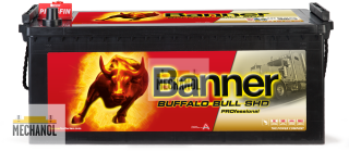 Autobaterie Banner Buffalo Bull SHD PRO 645 03 12V 145Ah 800A